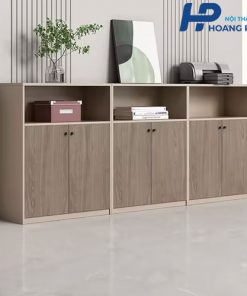 Tủ tài liệu gỗ 2 cánh THPIG2412