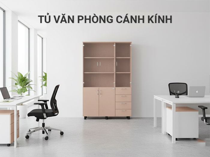 Tủ văn phòng cánh kính