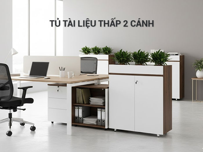 Tủ tài liệu thấp 2 cánh