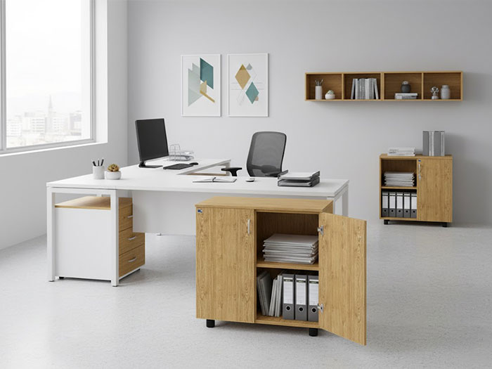 Tủ tài liệu thấp 2 cánh