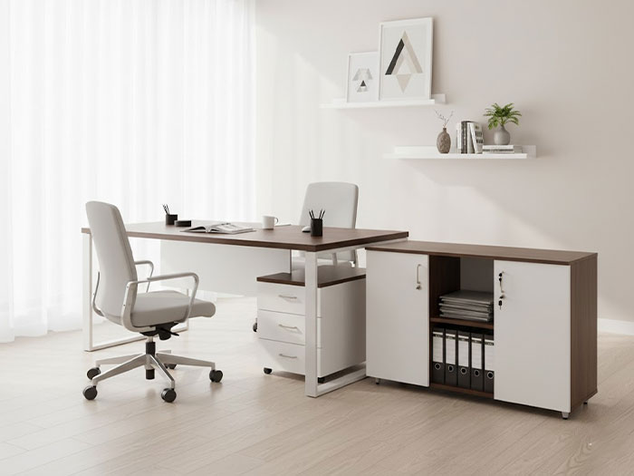 Tủ tài liệu thấp 2 cánh