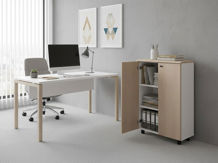 Tủ tài liệu thấp 2 cánh