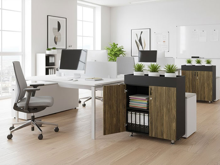 Tủ tài liệu thấp 2 cánh