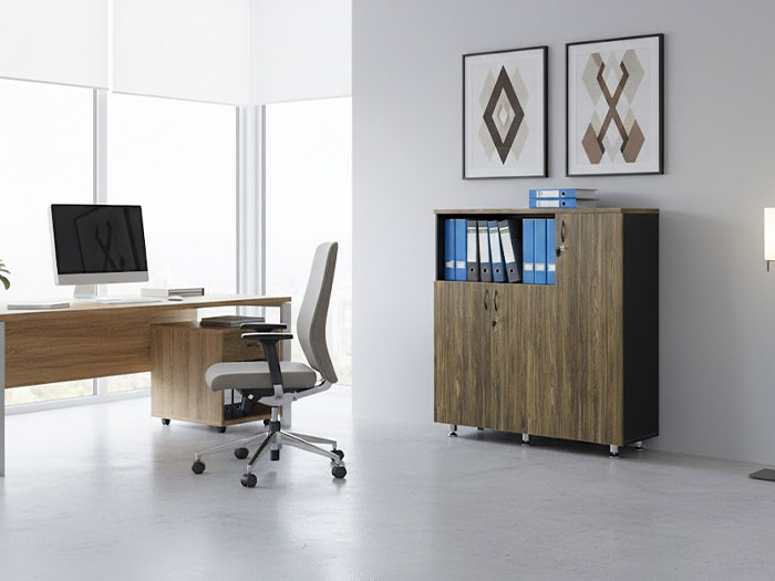 Tủ tài liệu thấp 3 cánh