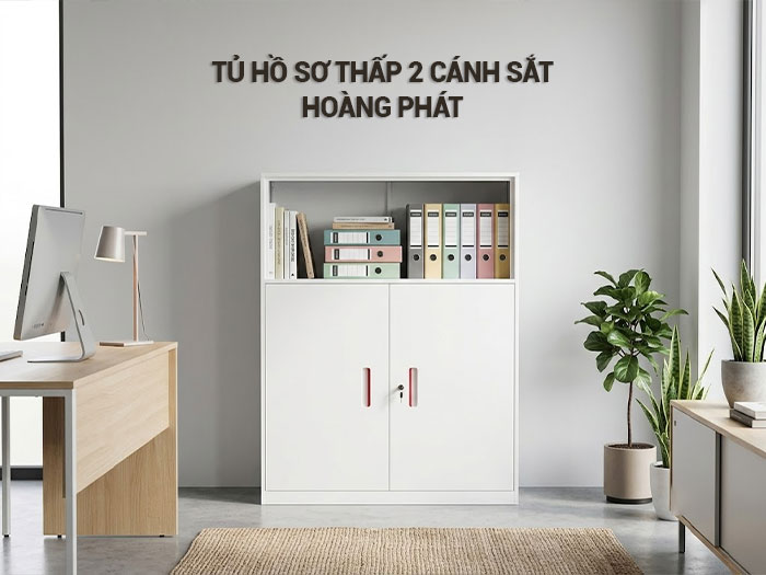 Tủ hồ sơ thấp 2 cánh sắt